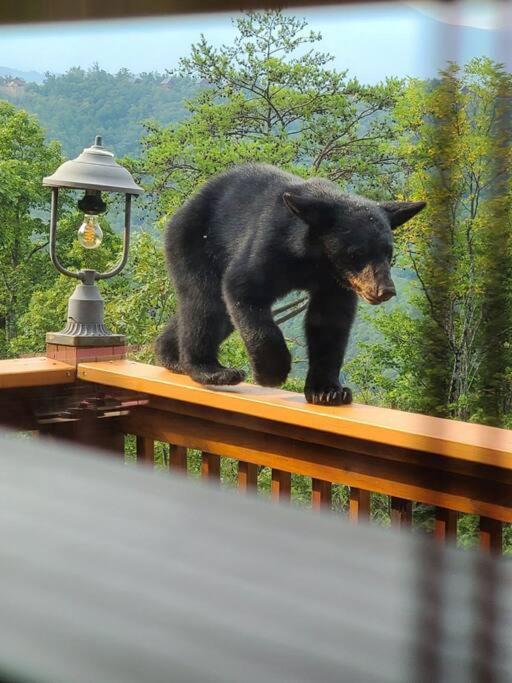 Yogi'S Den: Breathtaking Views! 3 Min To Dollywood, On 1 Acre! Villa Sevierville Exteriör bild